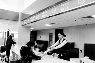 寧夏移動(dòng)信息服務(wù)業(yè)務(wù)進(jìn)駐市民大廳，開啟便民服務(wù)新篇章